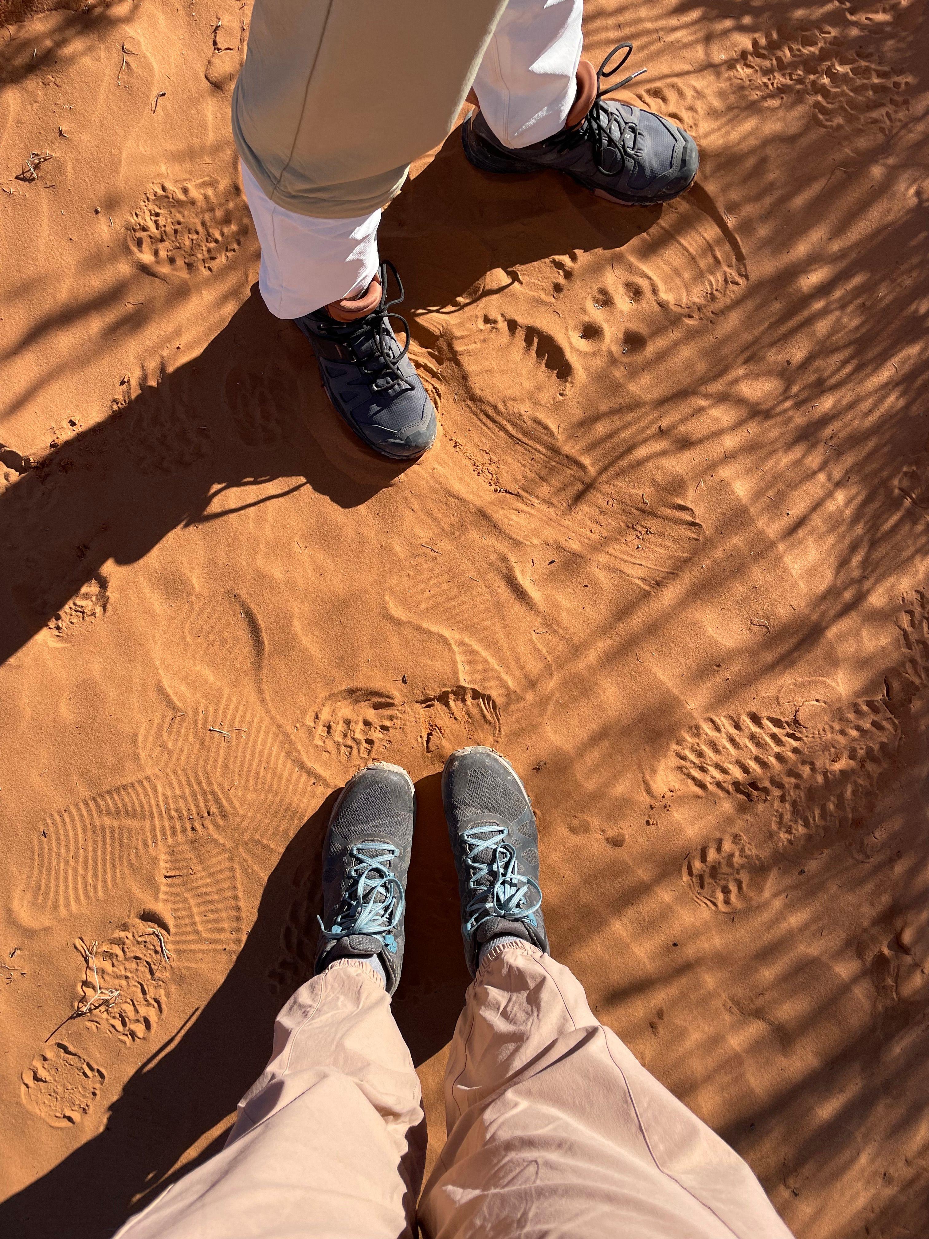 Image 3 of Coral Pink Sand Dunes.