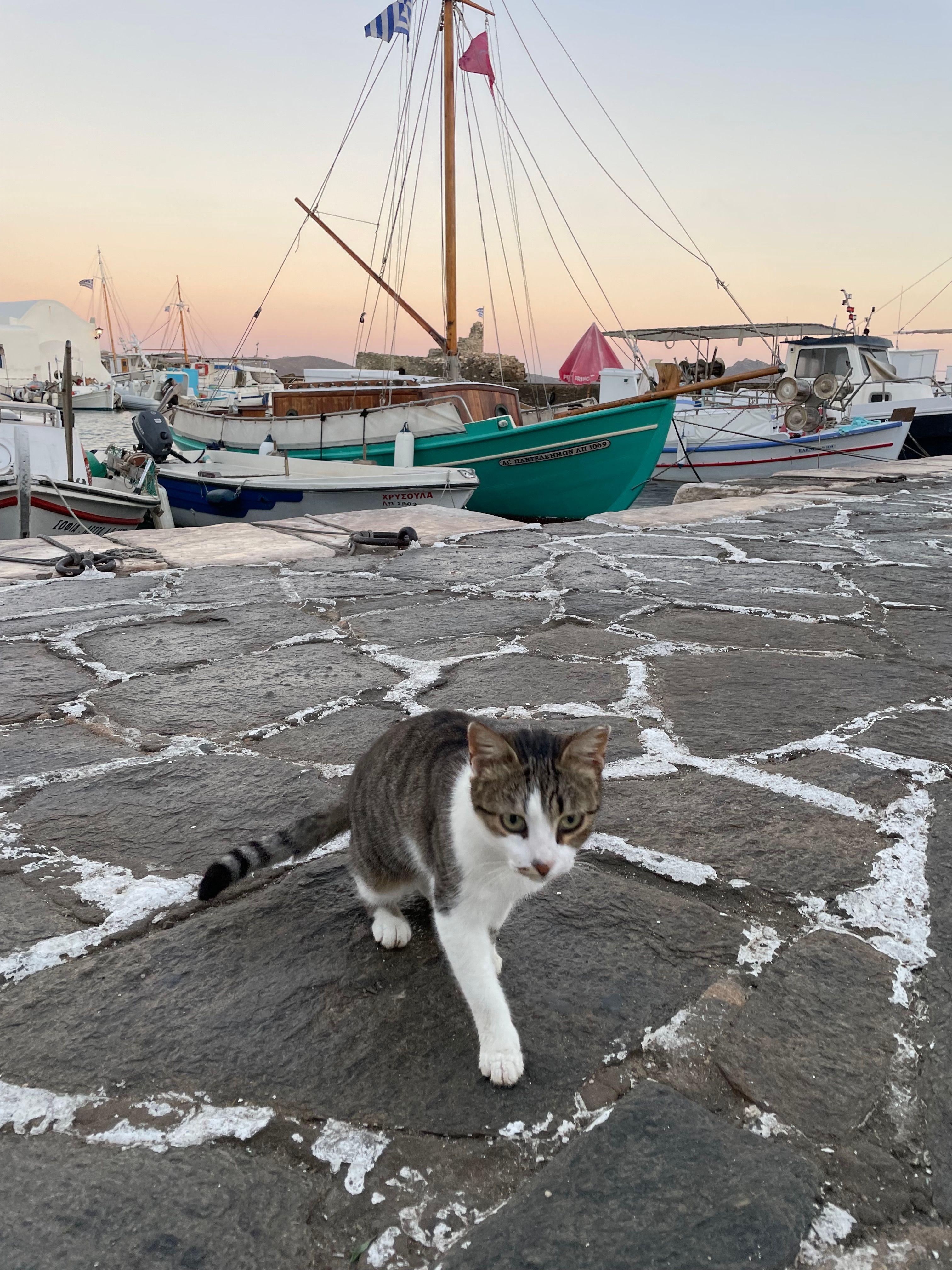 Image 5 of Sunrise at Venetian Castle  .