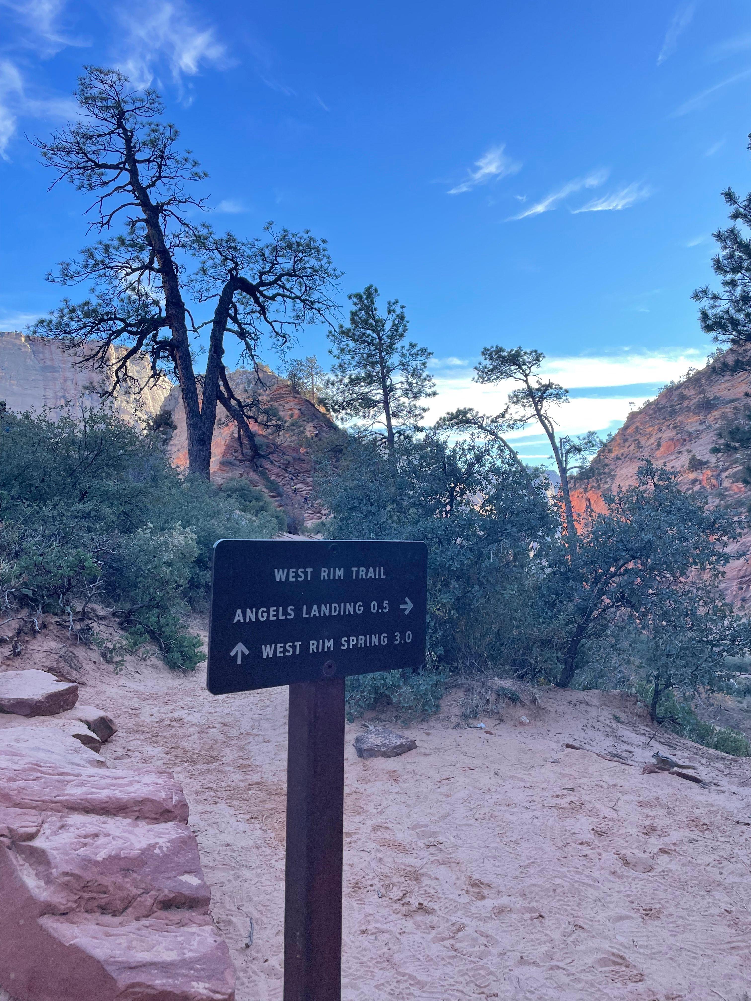 Image 4 of Hike Angel’s Landing.