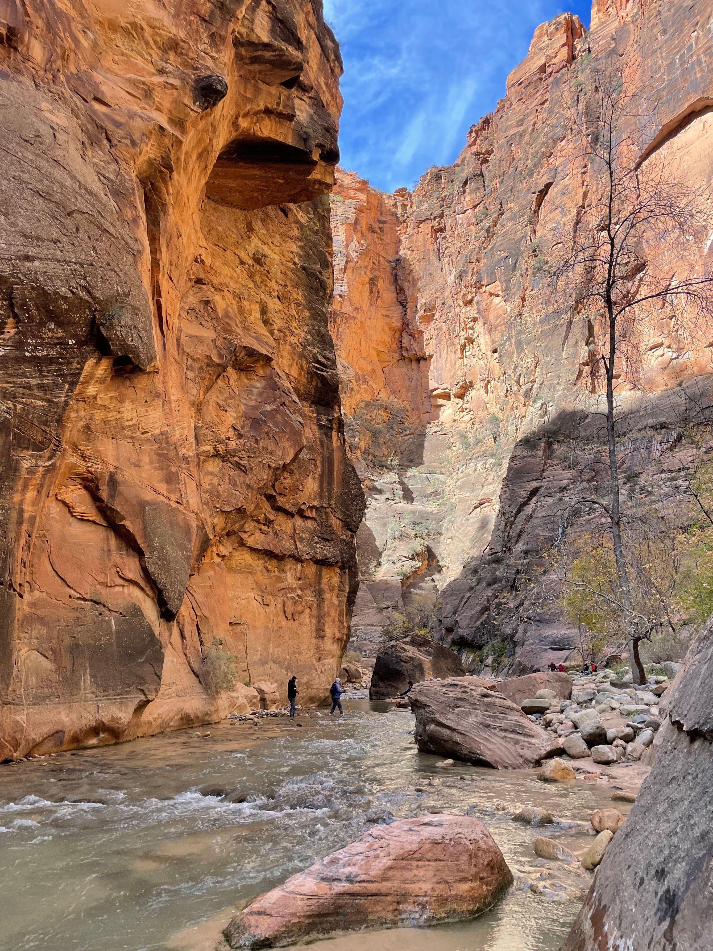 Image 2 of Hike The Narrows.