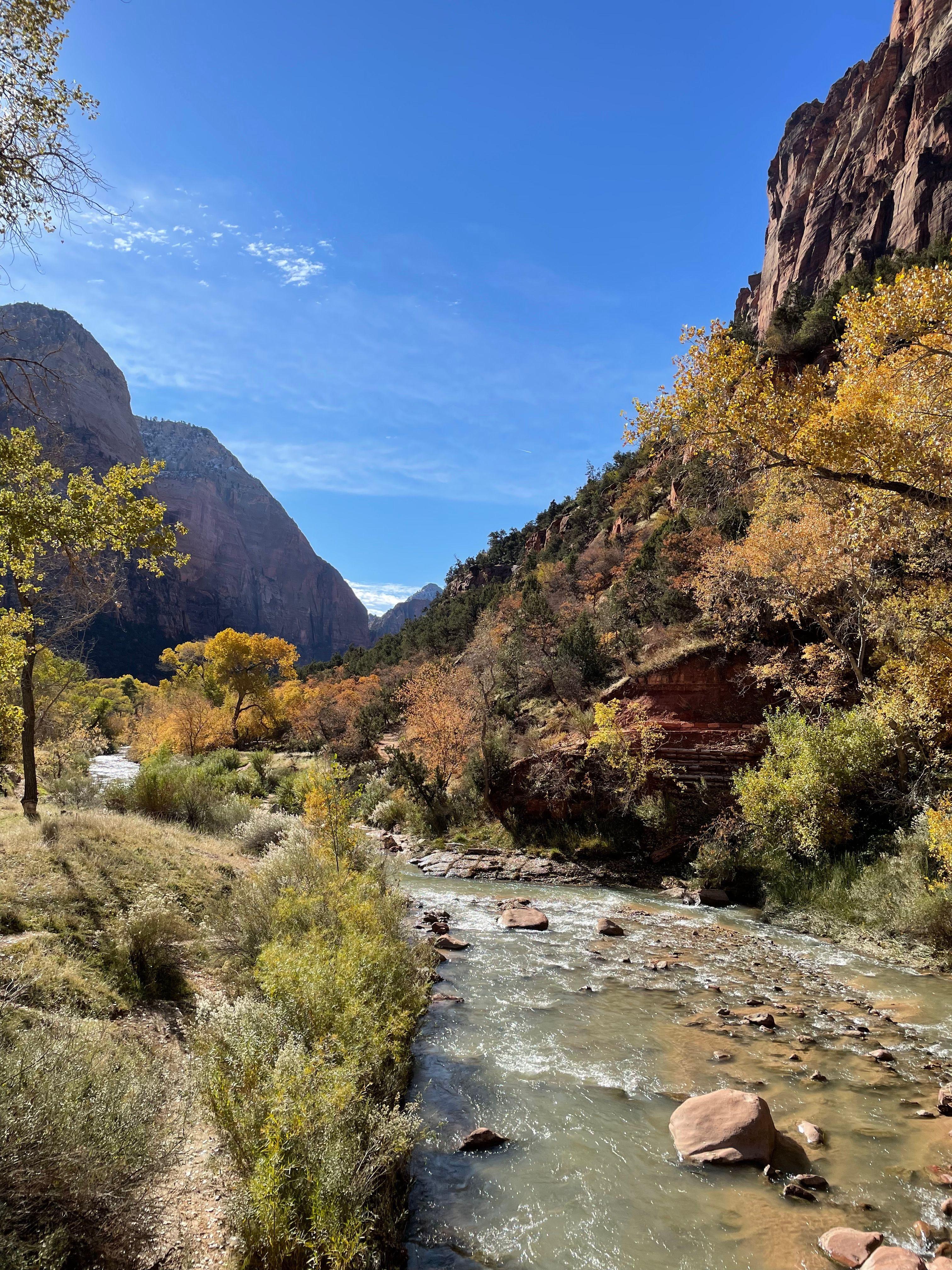 Image 5 of Hike the Emerald Pool Trails.