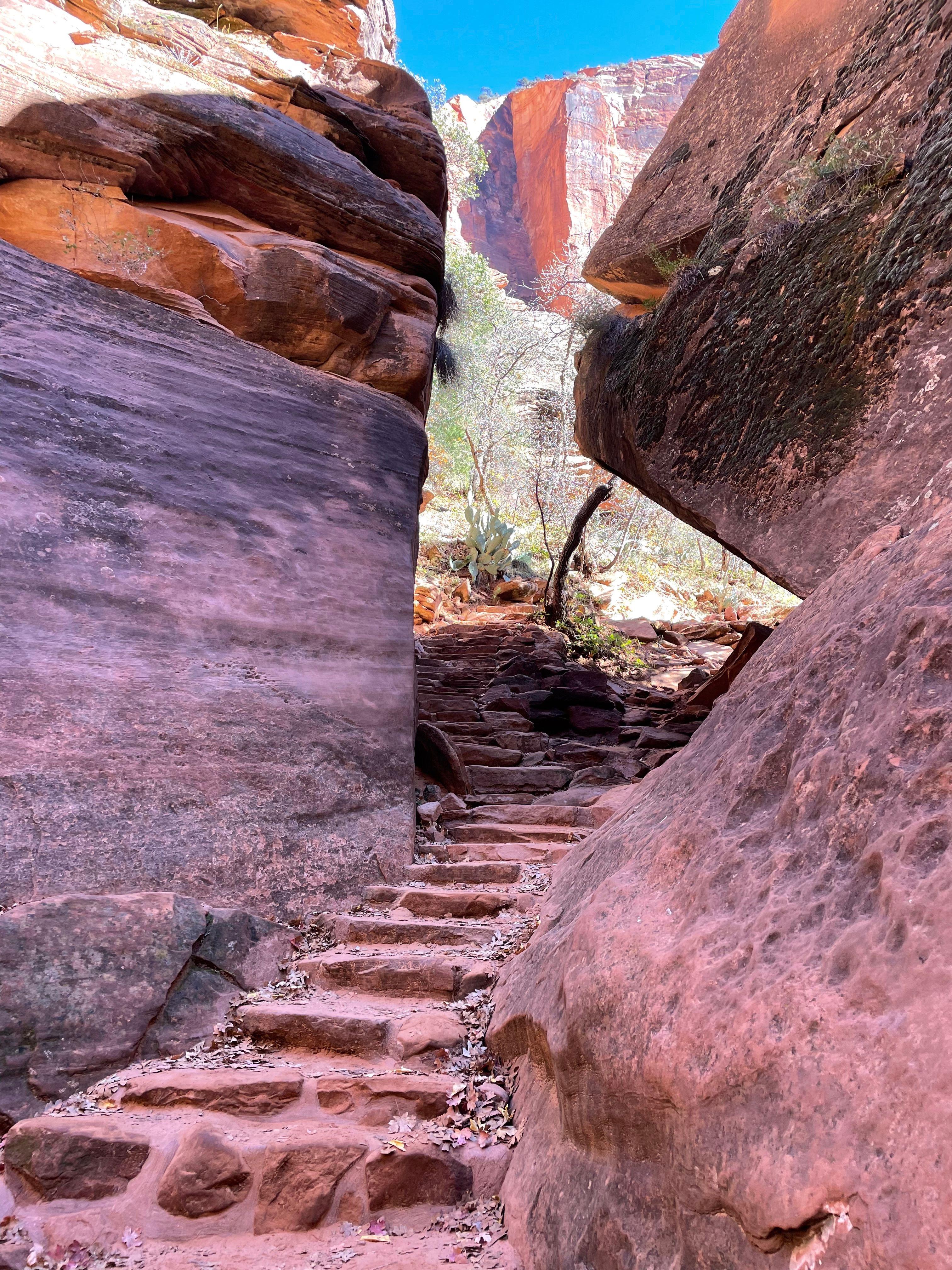 Image 4 of Hike the Emerald Pool Trails.