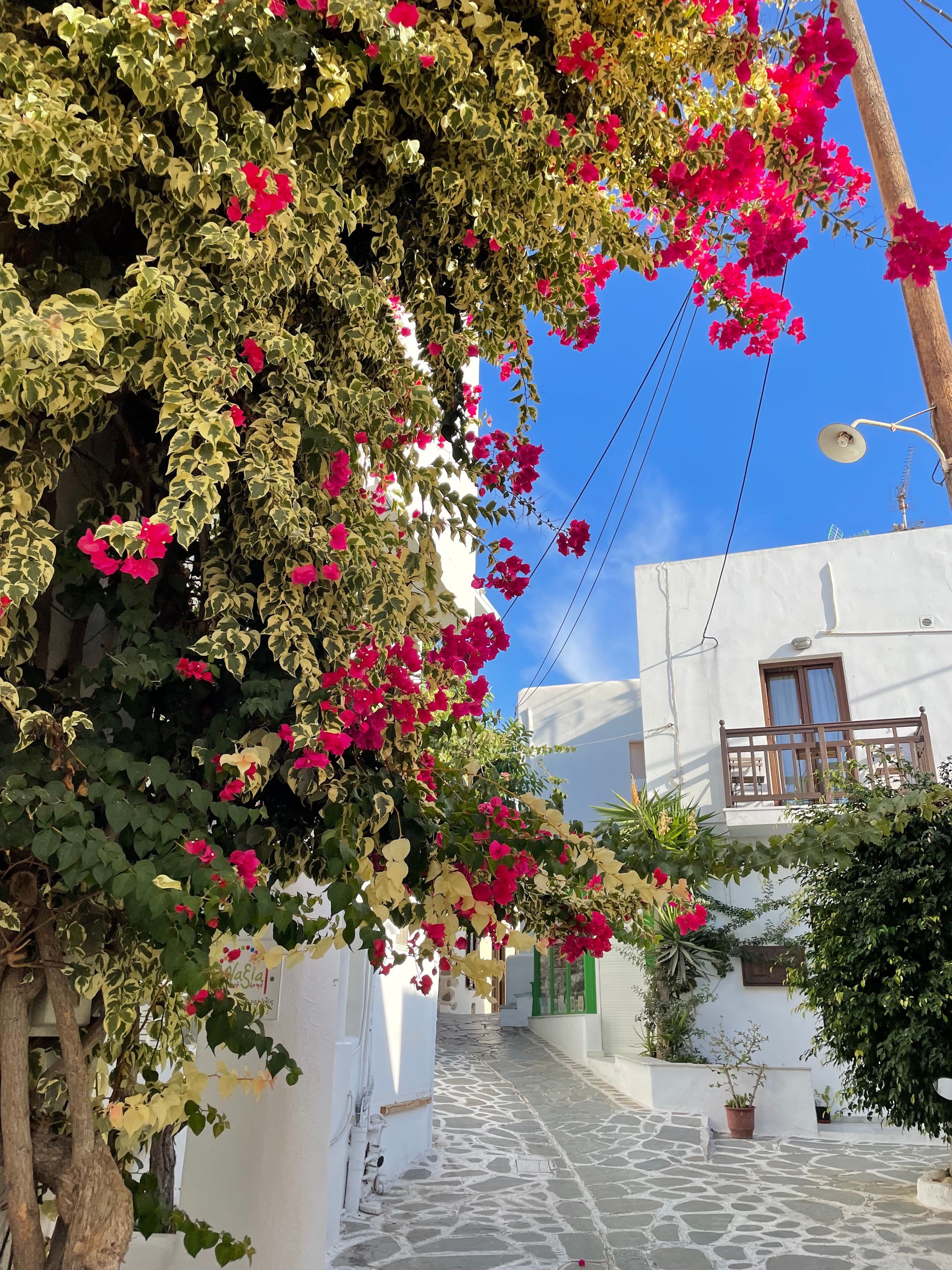 Image 3 of Explore the Old Town of Chora.