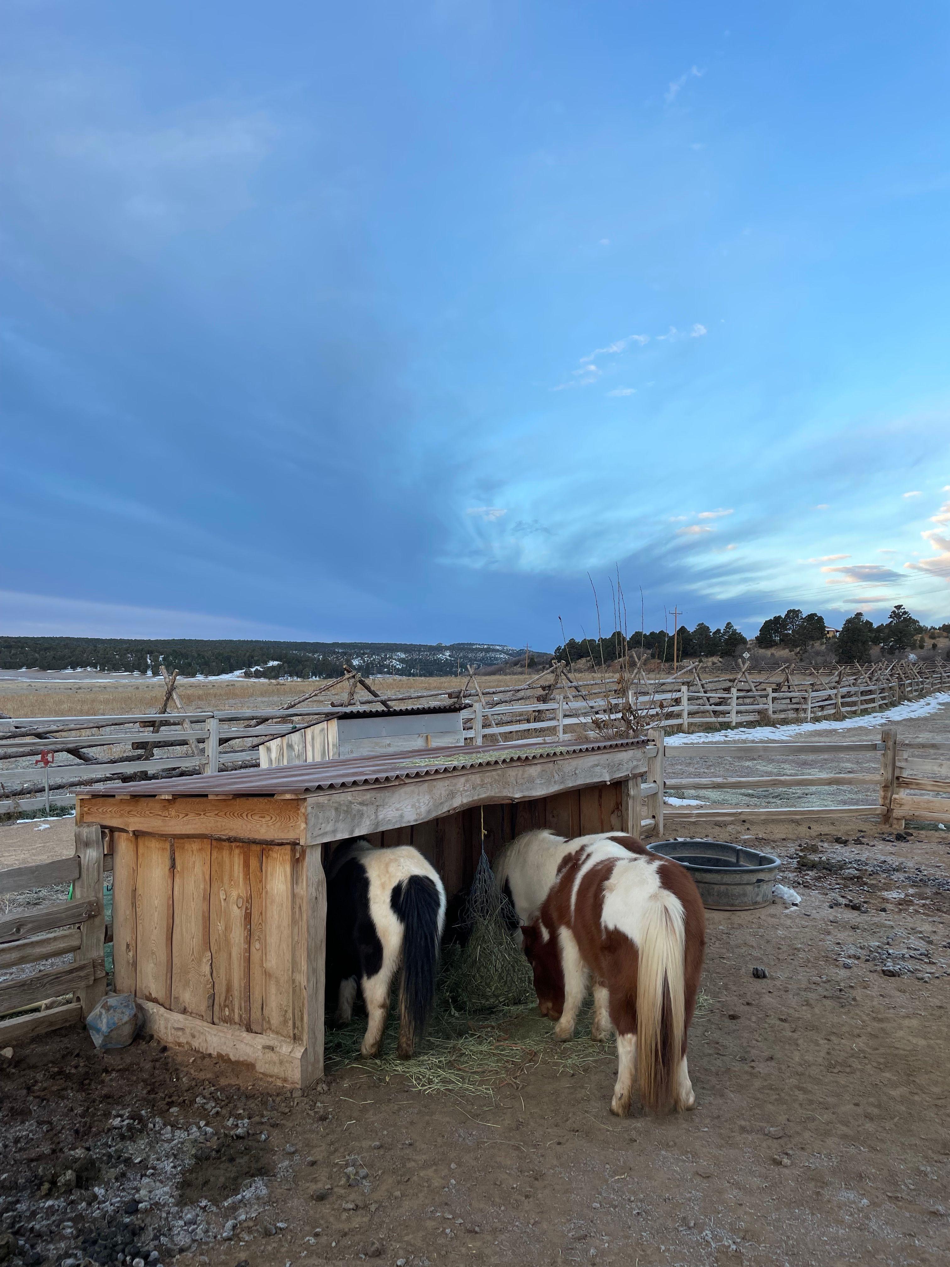 Image 4 of Breakfast at Zion Mountain Ranch.