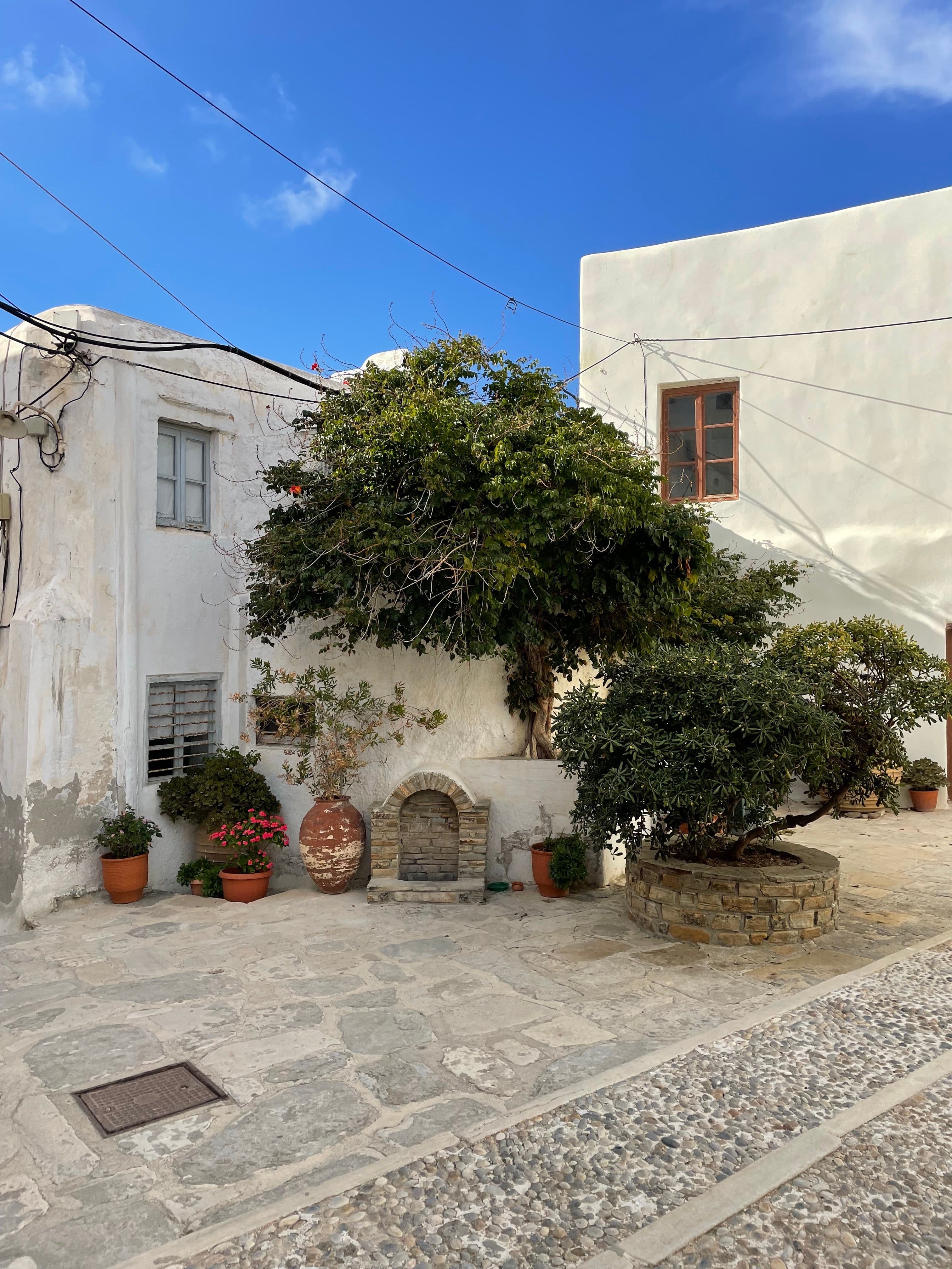 Image 2 of Explore the Old Town of Chora.