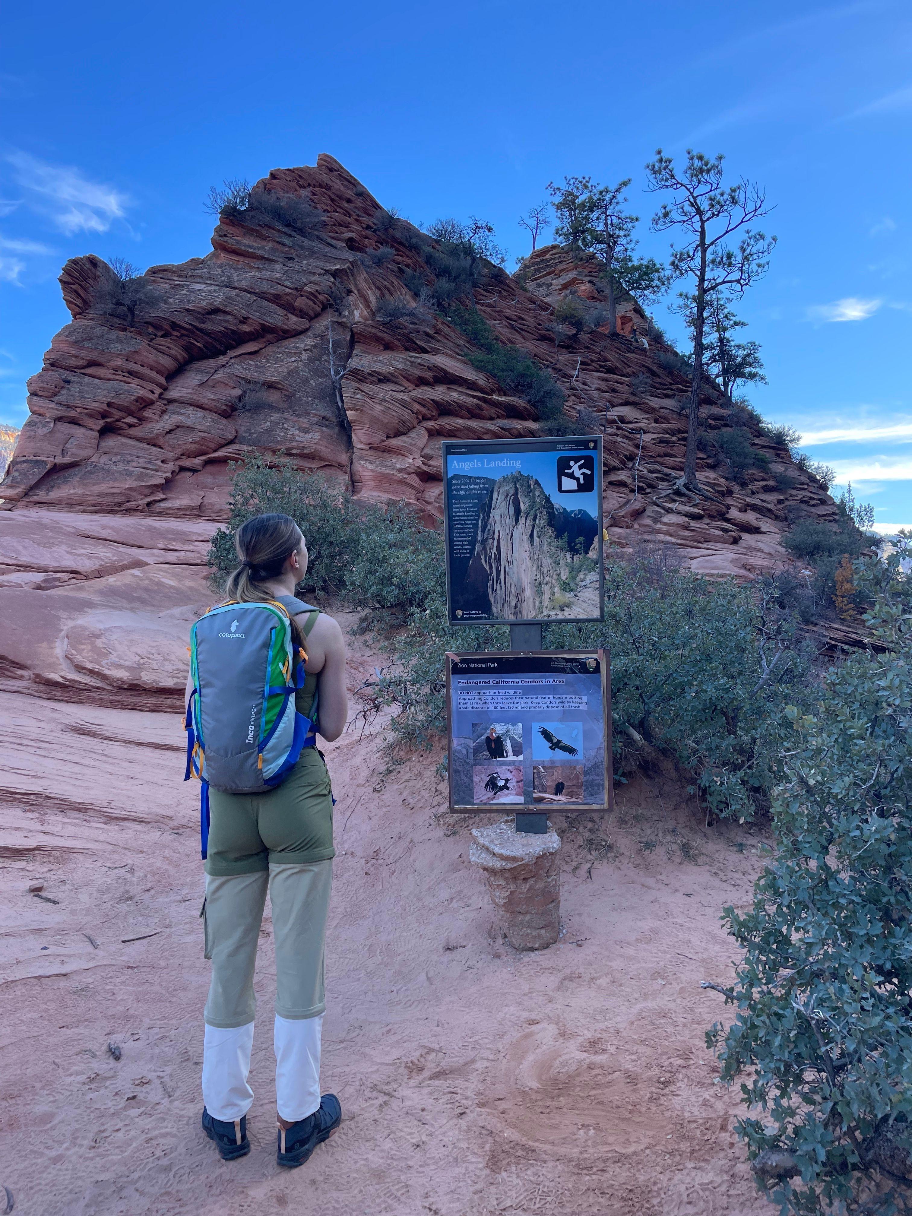 Image 5 of Hike Angel’s Landing.