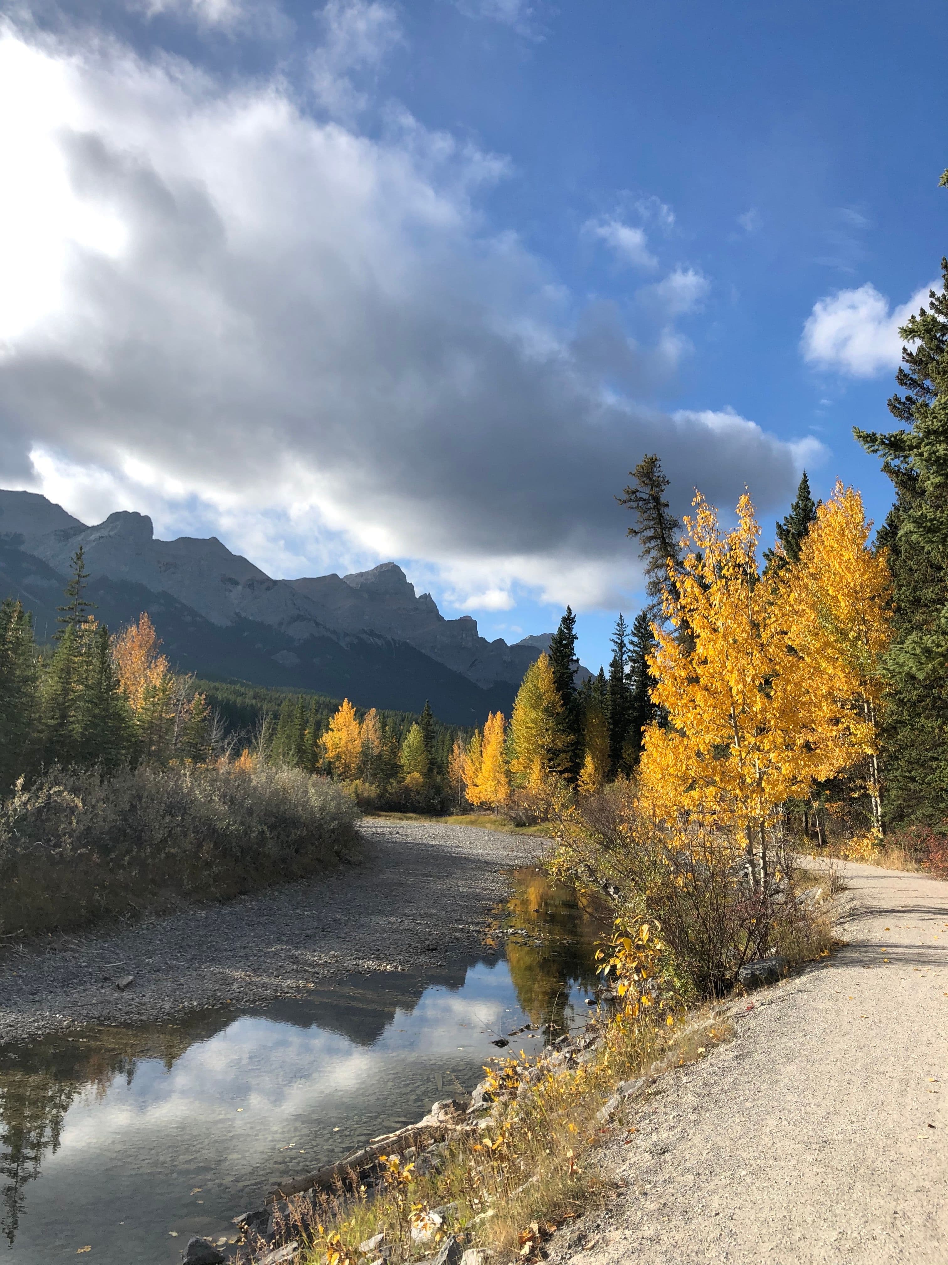 Image 1 of Bow River Walk.