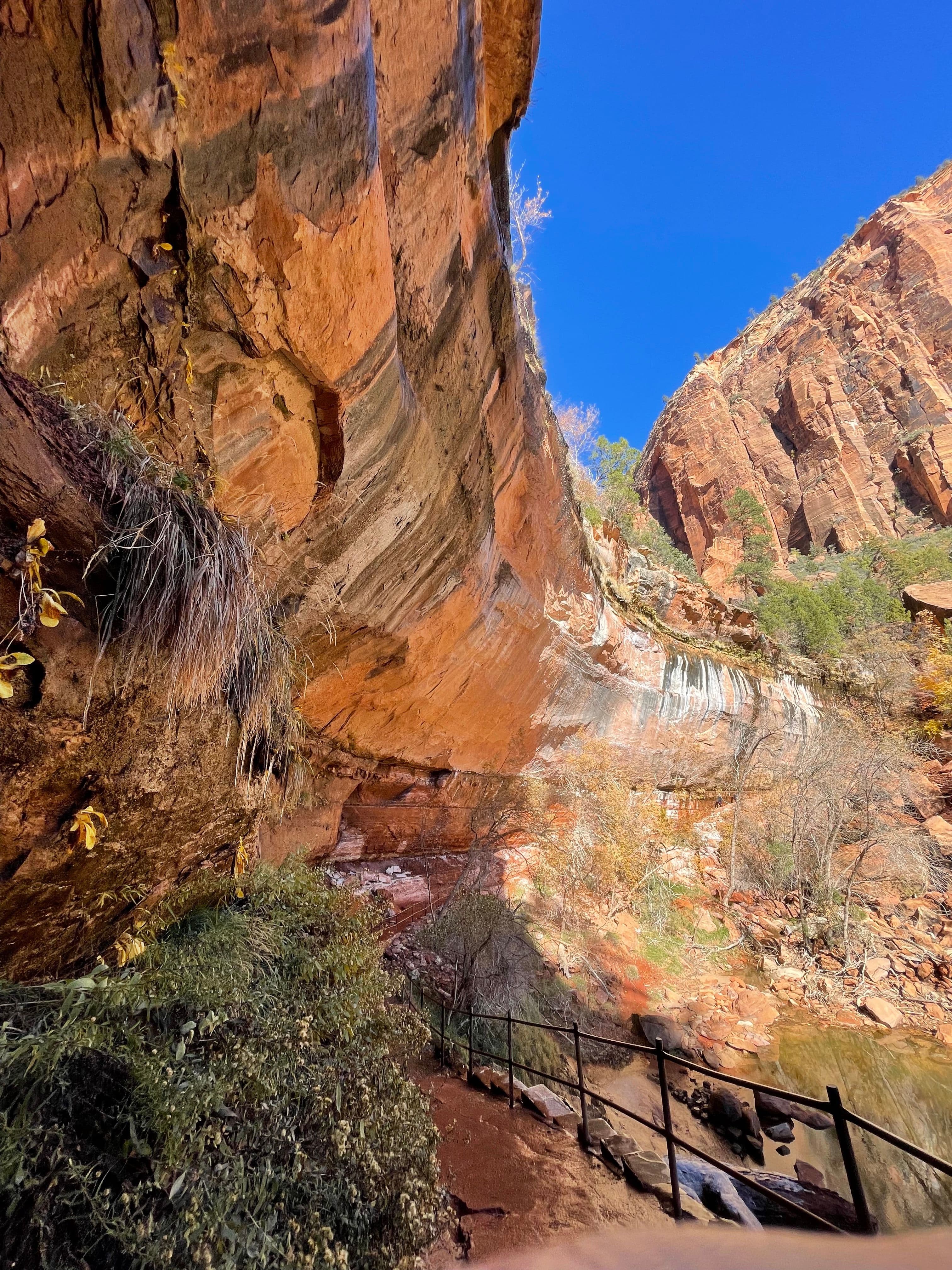 Image 6 of Hike the Emerald Pool Trails.