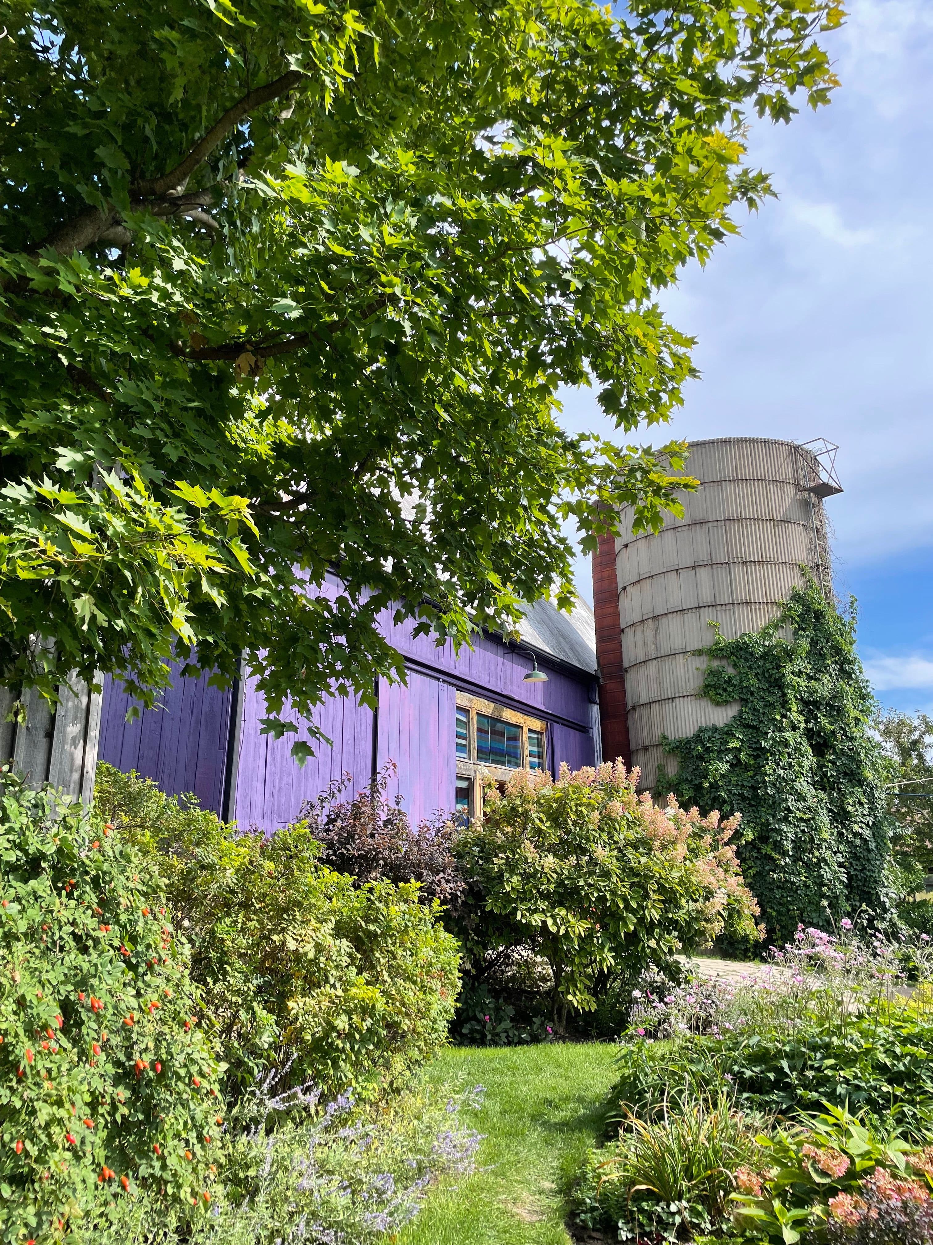 Image 4 of Closson Chase Vineyard.