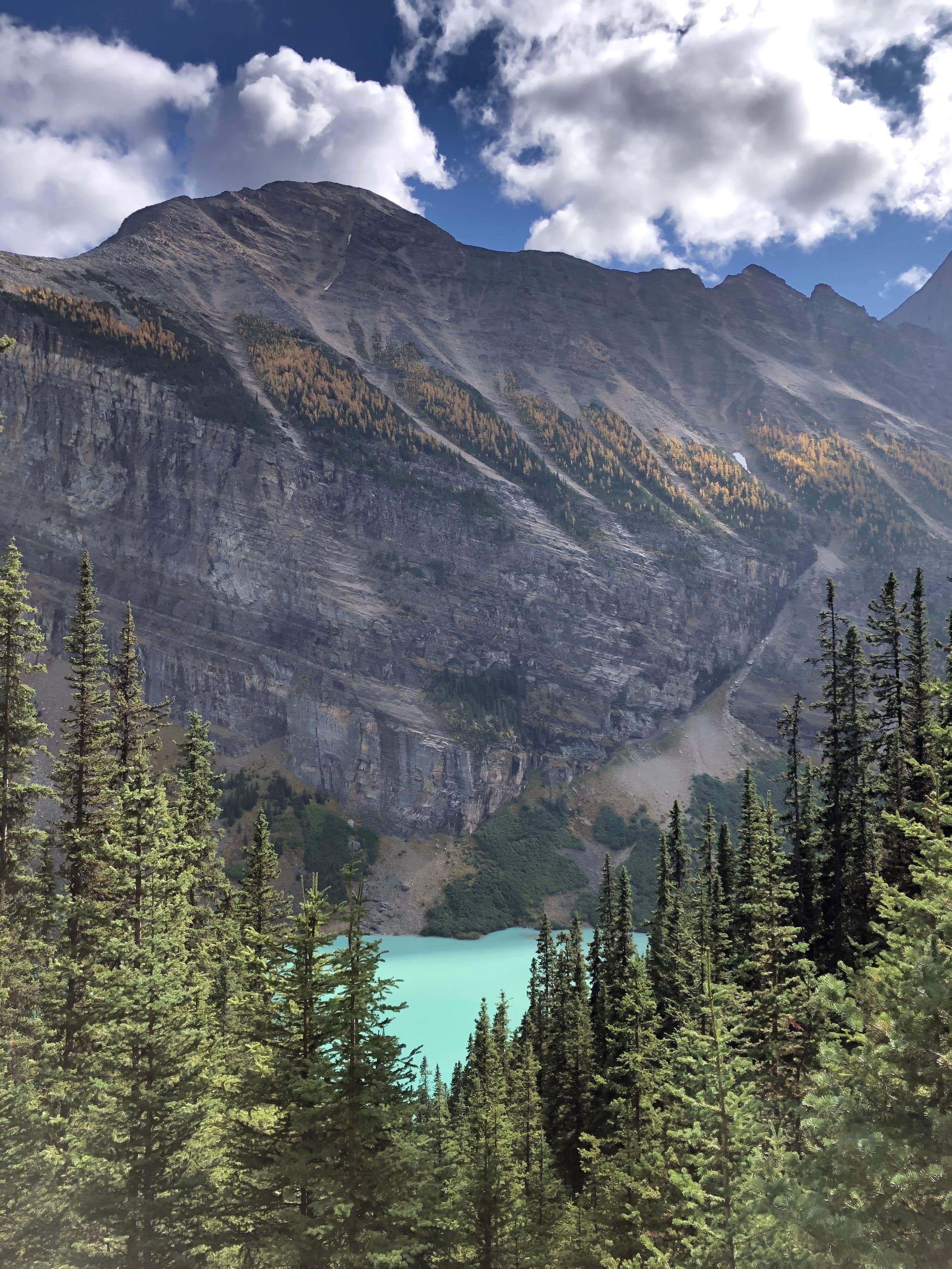 Image 3 of Hike The Beehive (with lunch along the way).